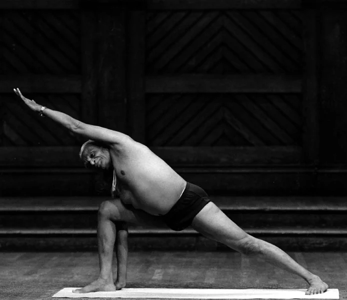 yogi04_l5208.jpg
