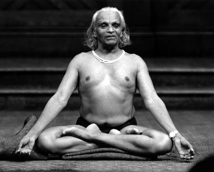 yogi03_lotus_d5206.jpg
