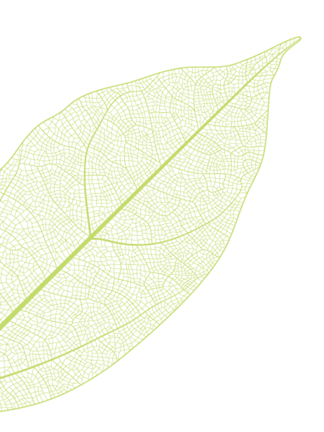 A close-up image of a green leaf with detailed vein patterns on a black background.