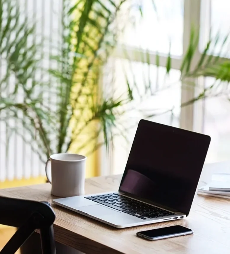 A laptop, a smartphone, a white coffee mug, and some papers on a wooden desk in front of a window with green plants in the background.