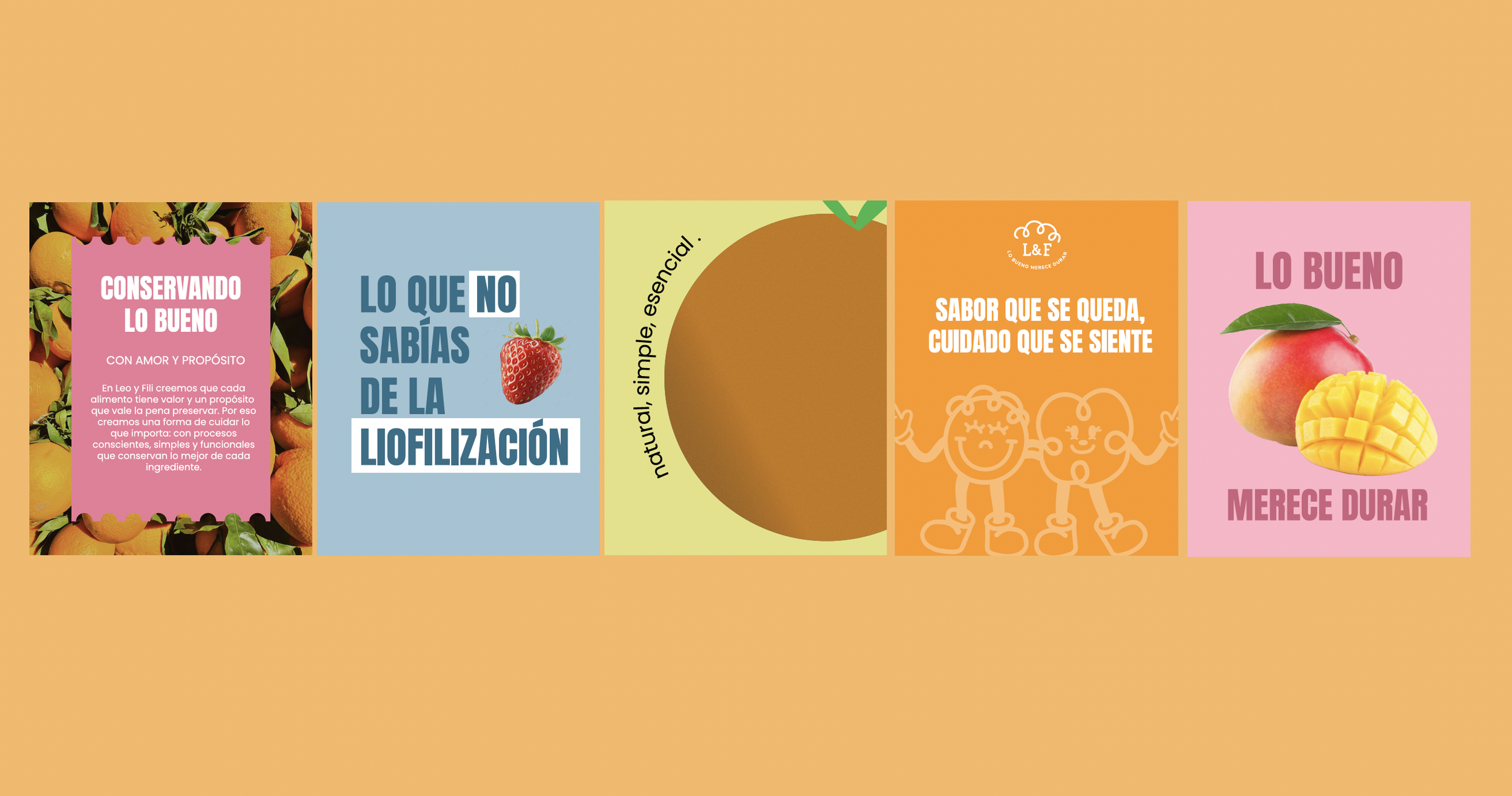 Captura de pantalla 2026-02-03 a la(s) 10.50.43 a.m..png