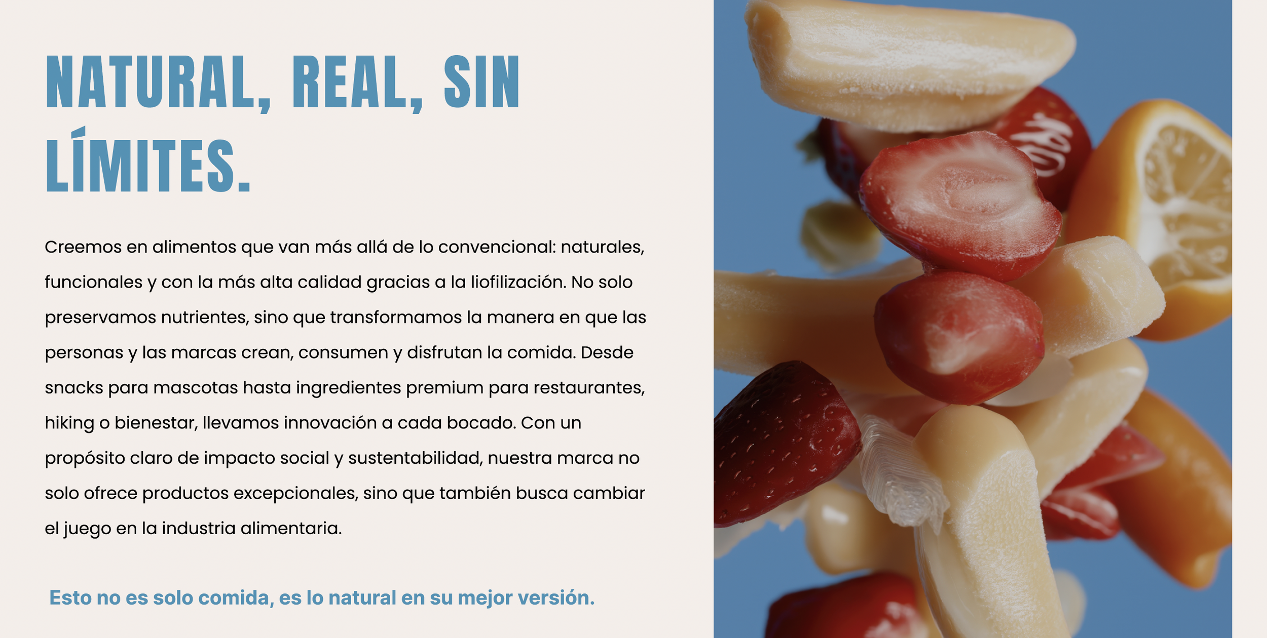 Captura de pantalla 2026-02-03 a la(s) 10.49.46 a.m..png