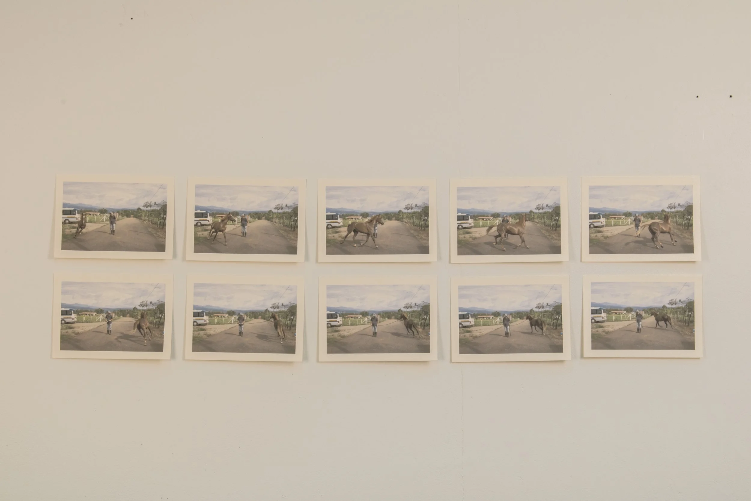 Ciclos | 2025 | Sequential Inkjet Prints | Cotton Rag Paper