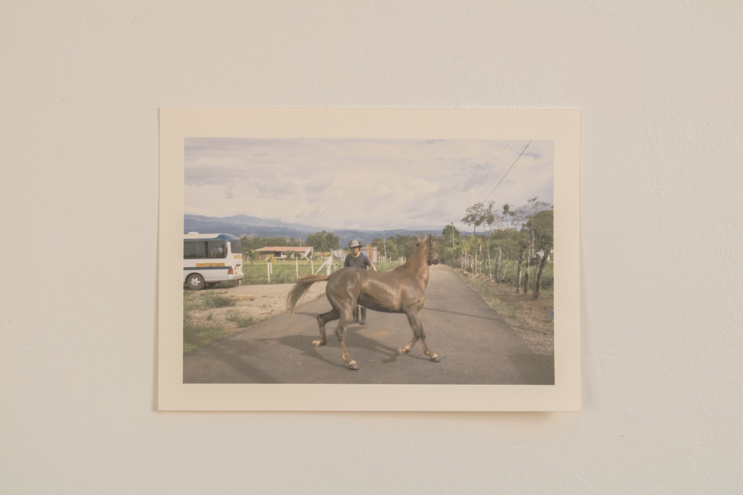 Ciclos | 2025 | Sequential Inkjet Prints | Cotton Rag Paper