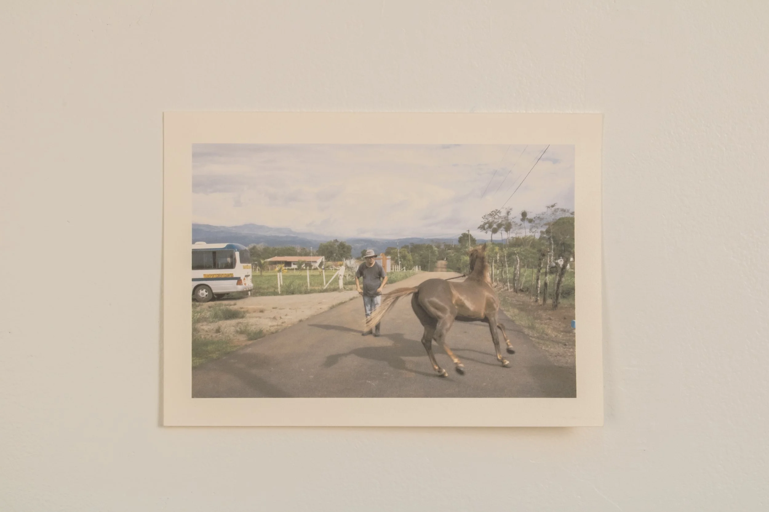 Ciclos | 2025 | Sequential Inkjet Prints | Cotton Rag Paper