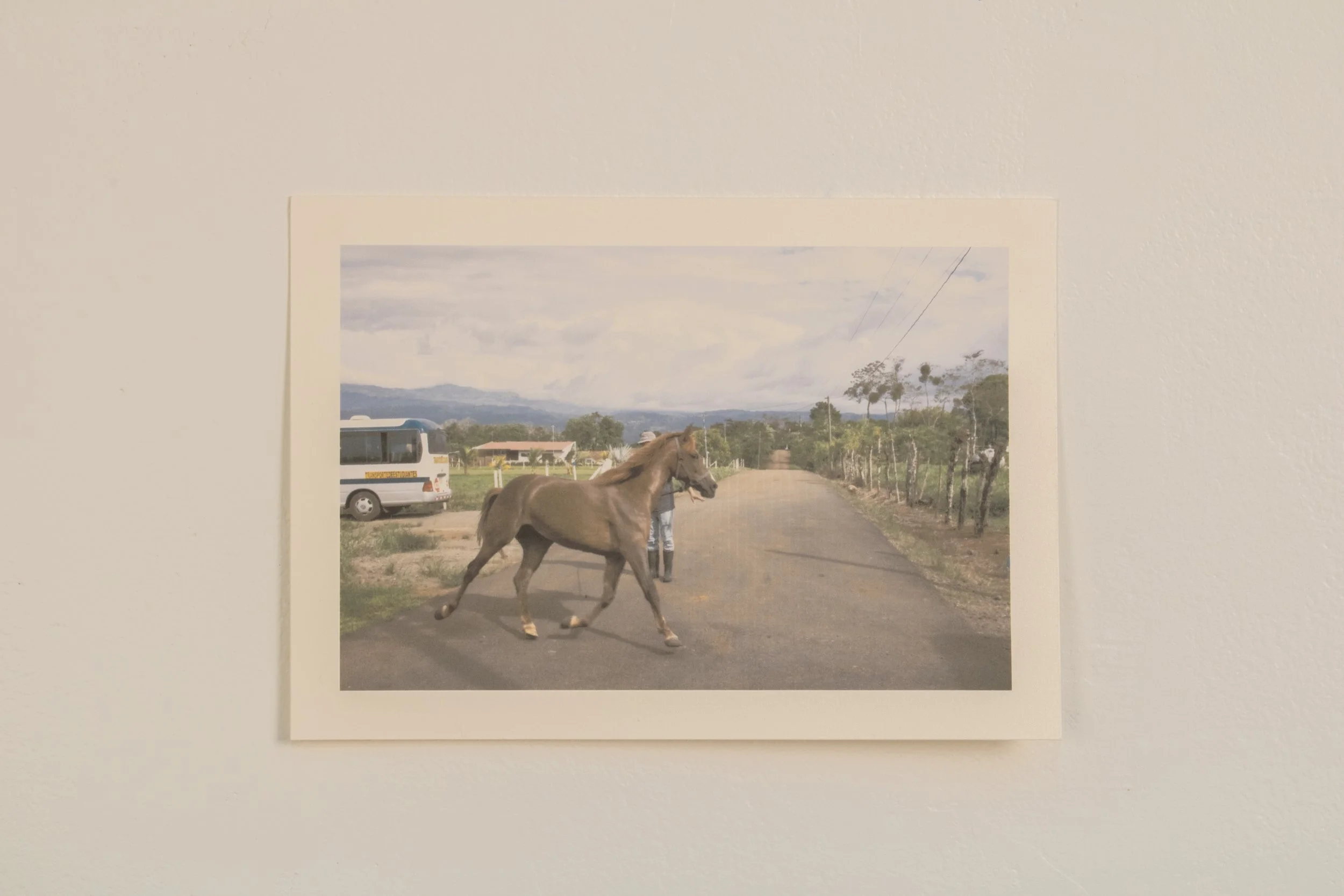 Ciclos | 2025 | Sequential Inkjet Prints | Cotton Rag Paper