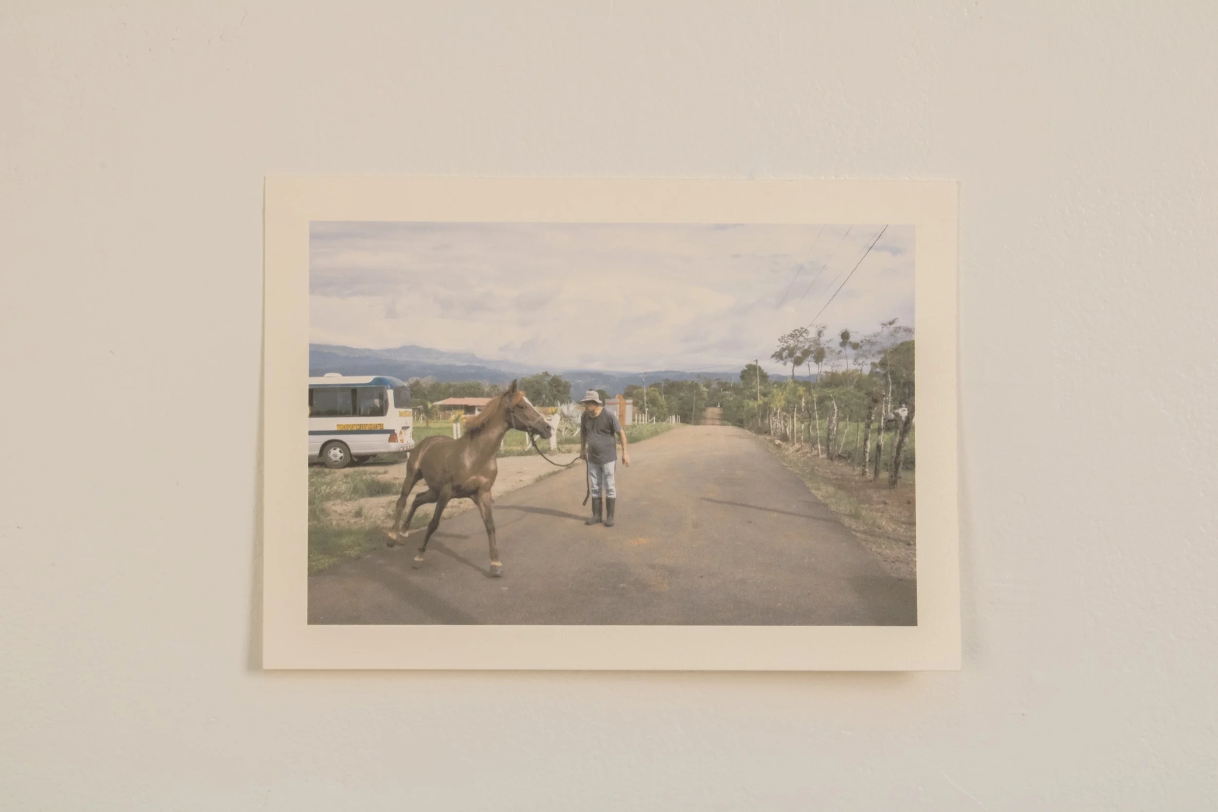 Ciclos | 2025 | Sequential Inkjet Prints | Cotton Rag Paper