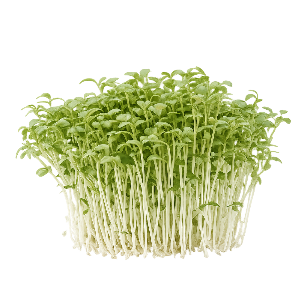 Mirogreens de Agriões da Terra