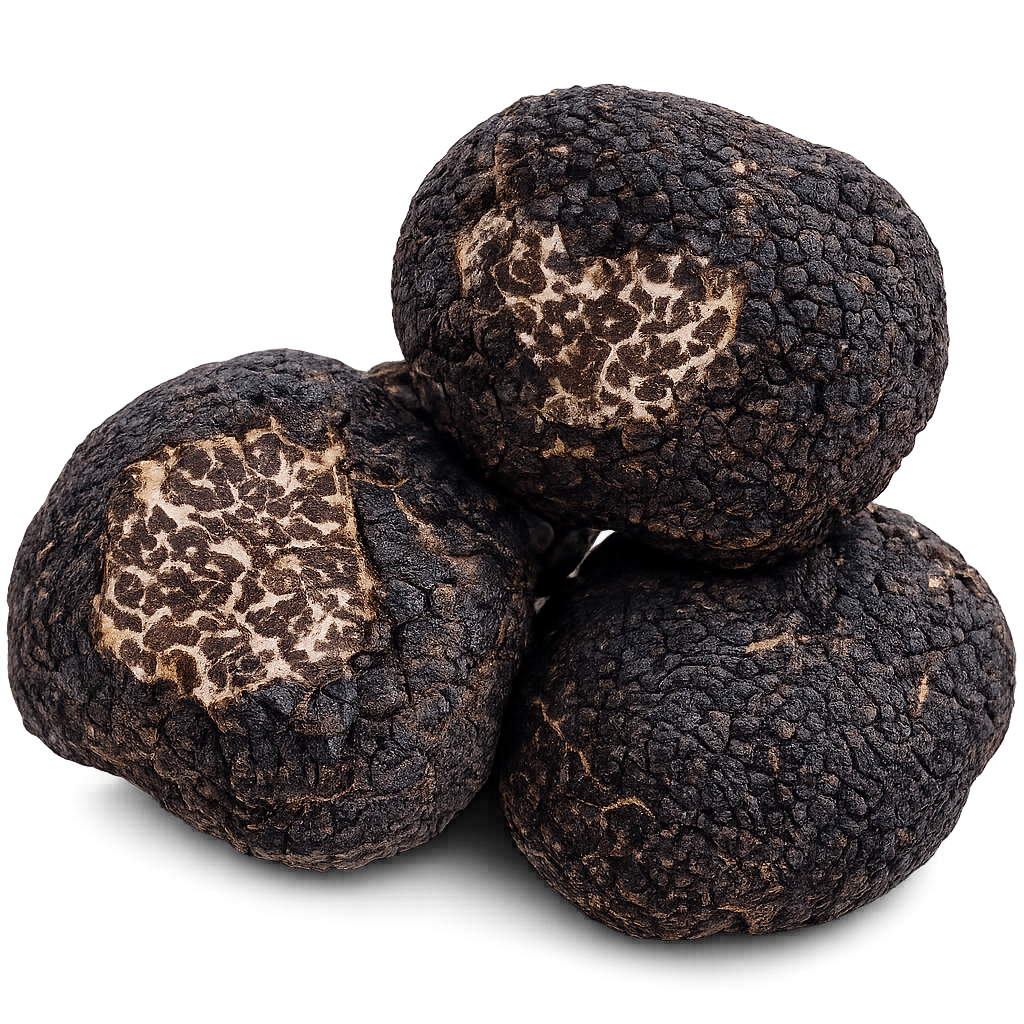 TRUFA PRETA DE TERUEL