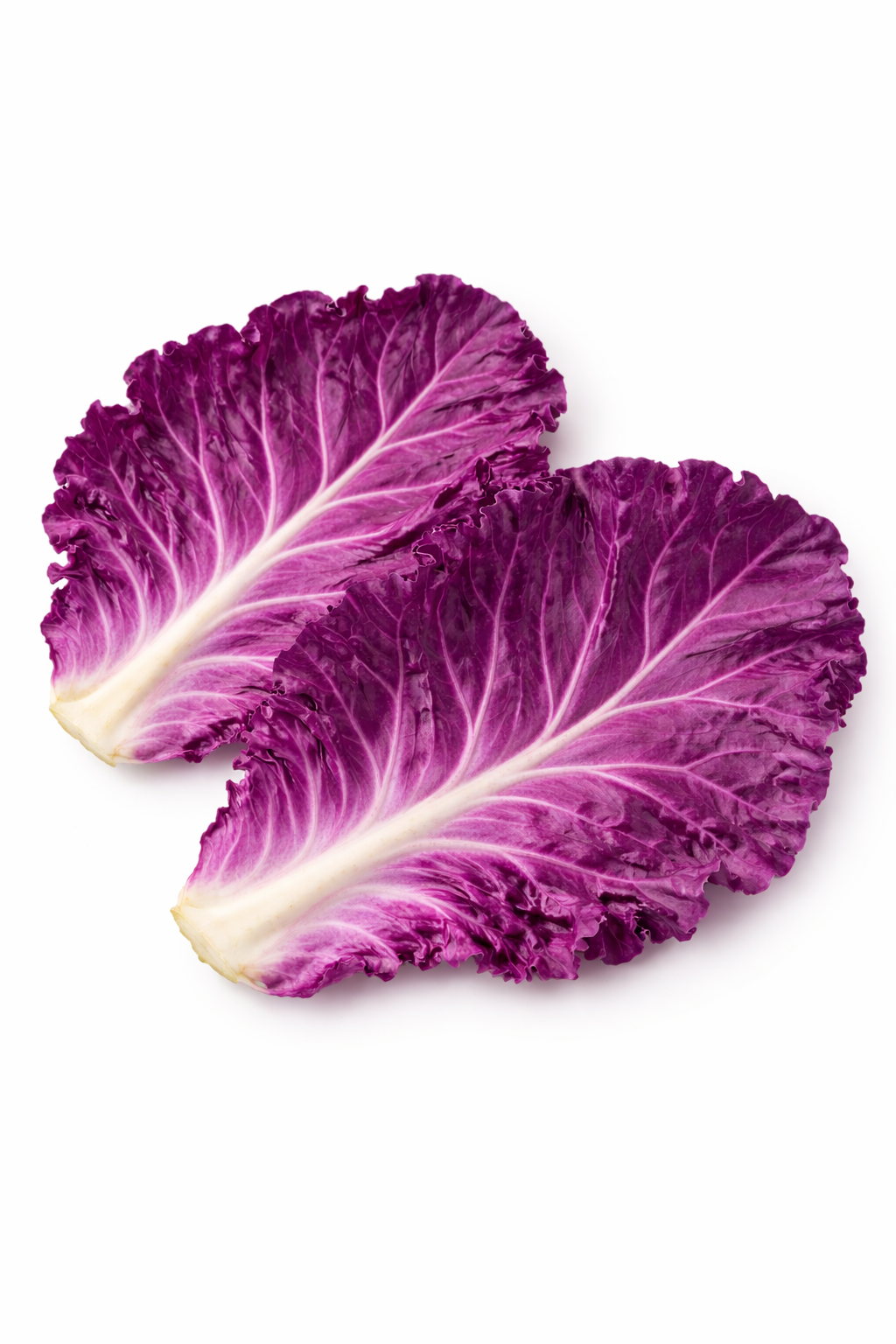 Mini Folhas de Couve Roxa