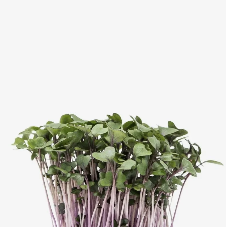 Mirogreens de Couve St. Michele