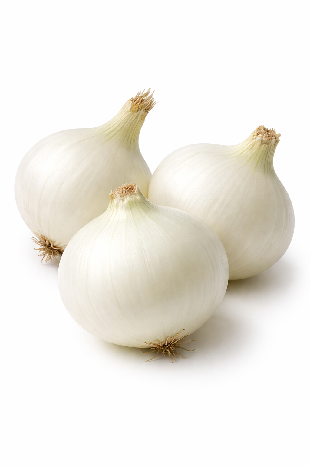 Cebola Branca de Lisboa