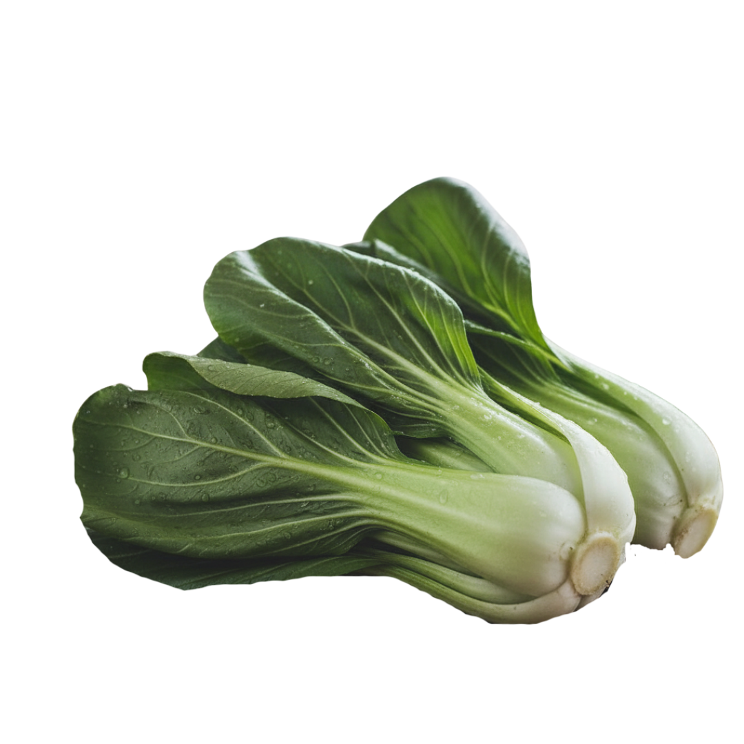 Folhas de  Pak Choi