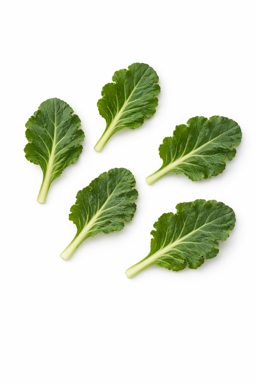 Mini folhas de Couve de Brócolos