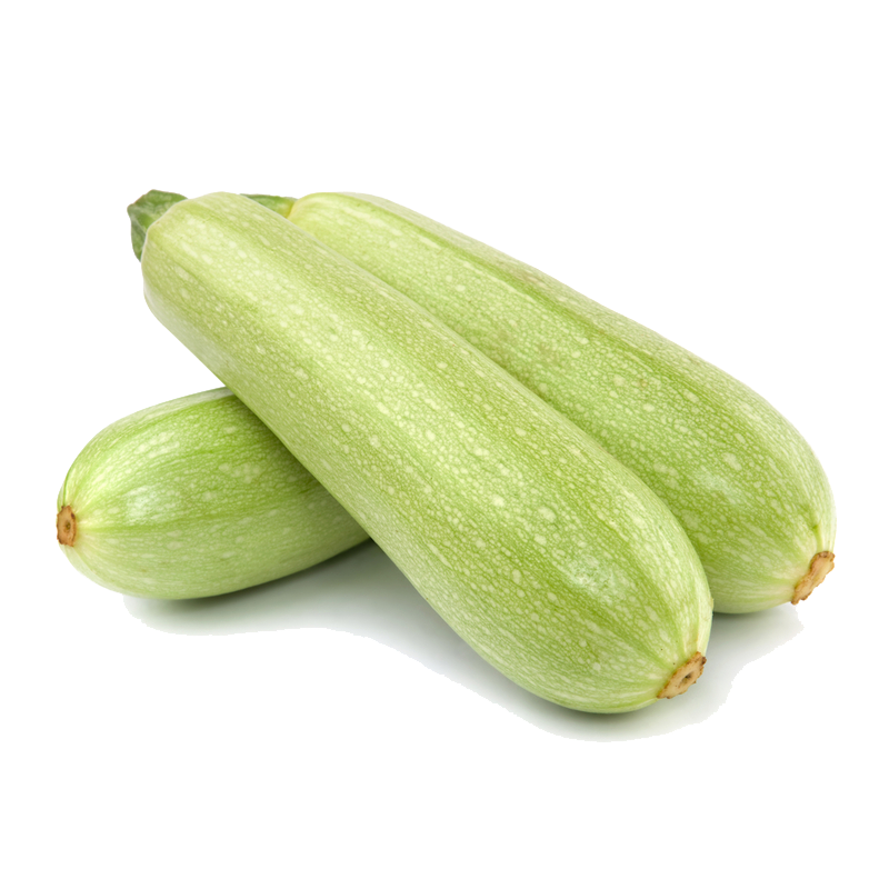 Courgette Blanc