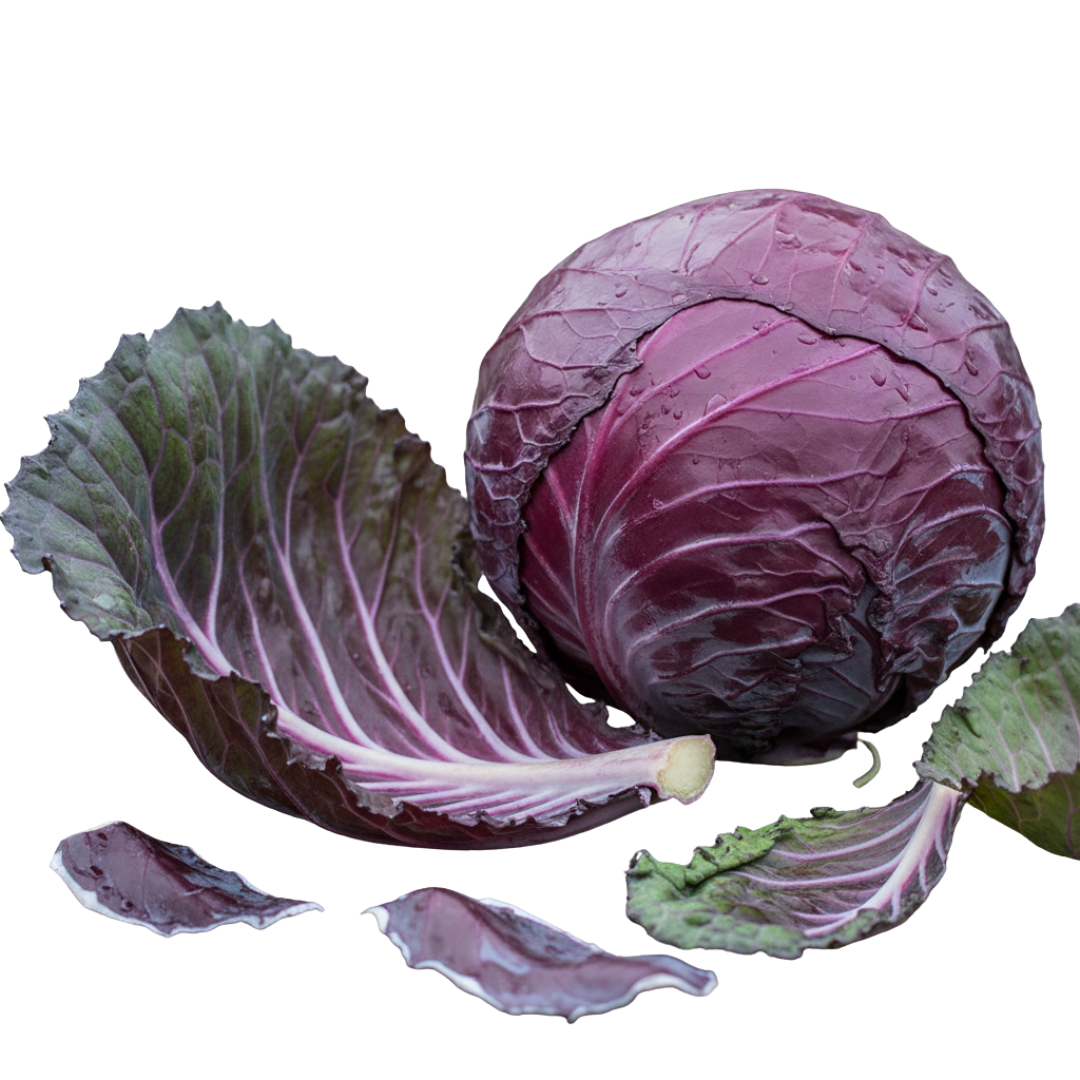 Folhas de Couve Roxa