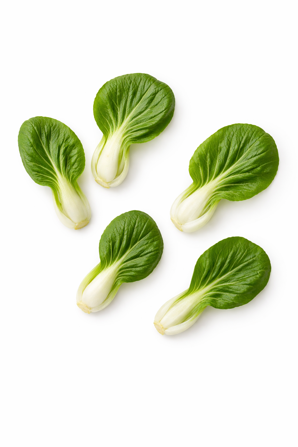 Mini folhas de Pak Choi