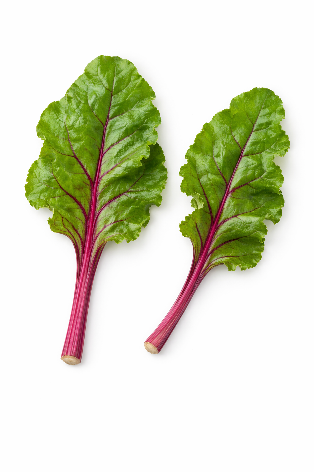 GQ_Mini folhas de Beterraba.png