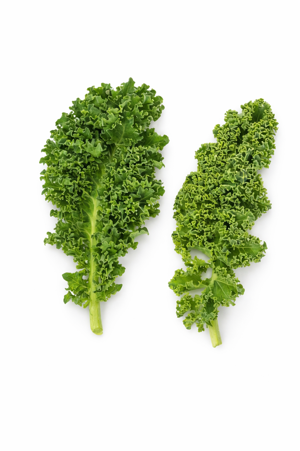 Mini couve Kale Verde