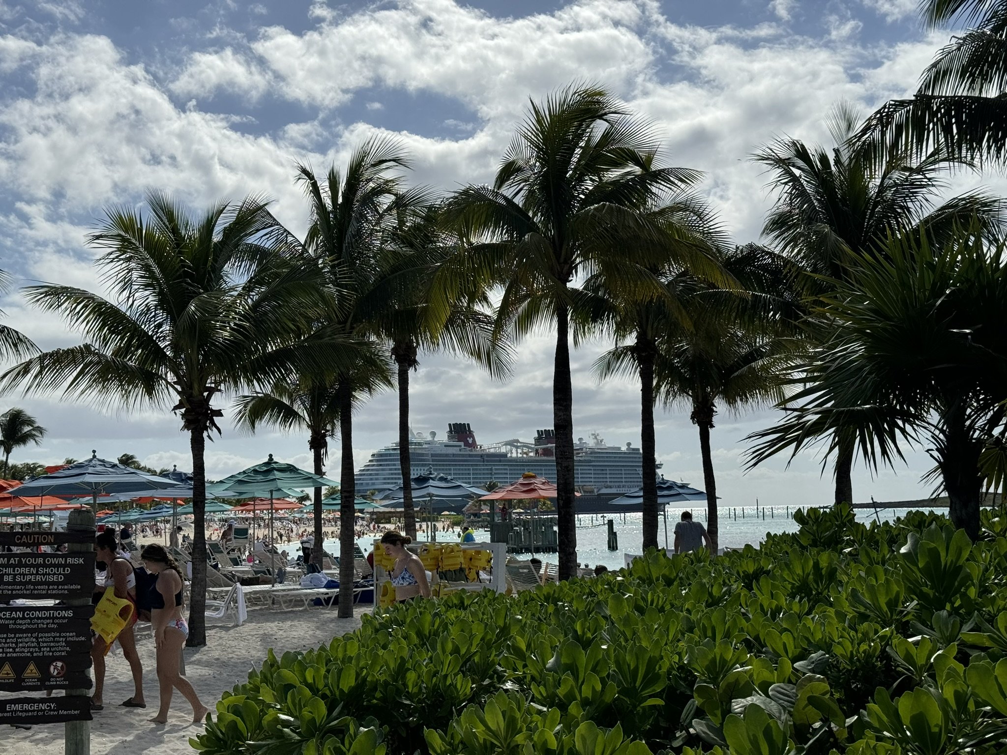 Strand met palmbomen, parasols en mensen met een cruise schip op de achtergrond.