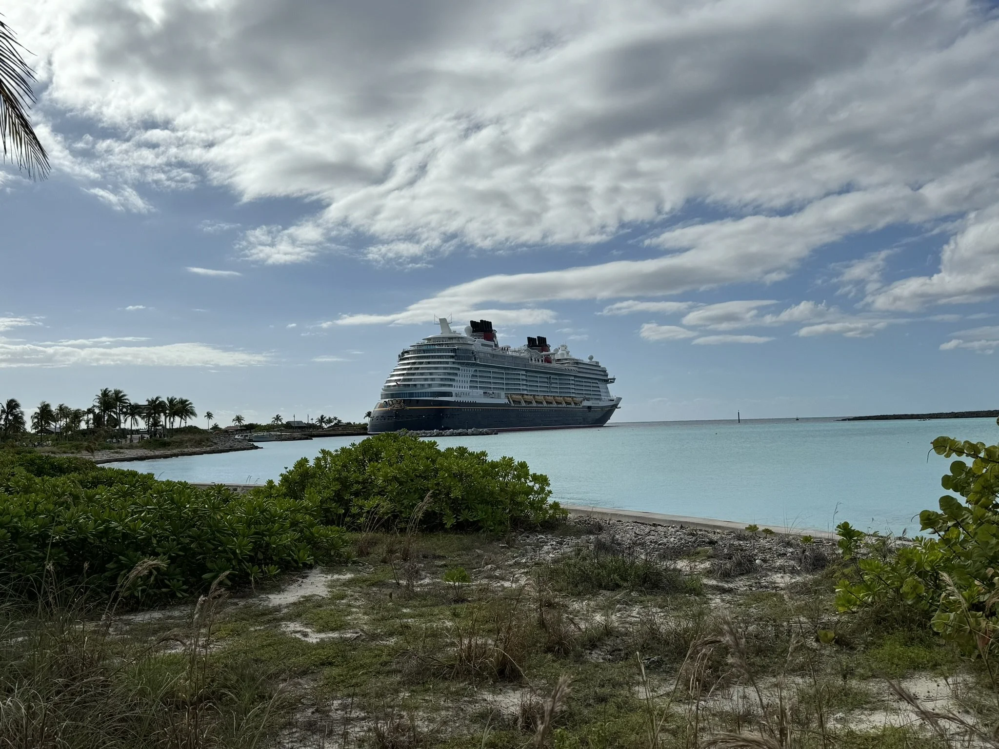Een cruiseschip dat voor de kust ligt, met een heldere blauwe lucht en wolken erboven, omringd door groen struikgewas en palmboom silhouetten.