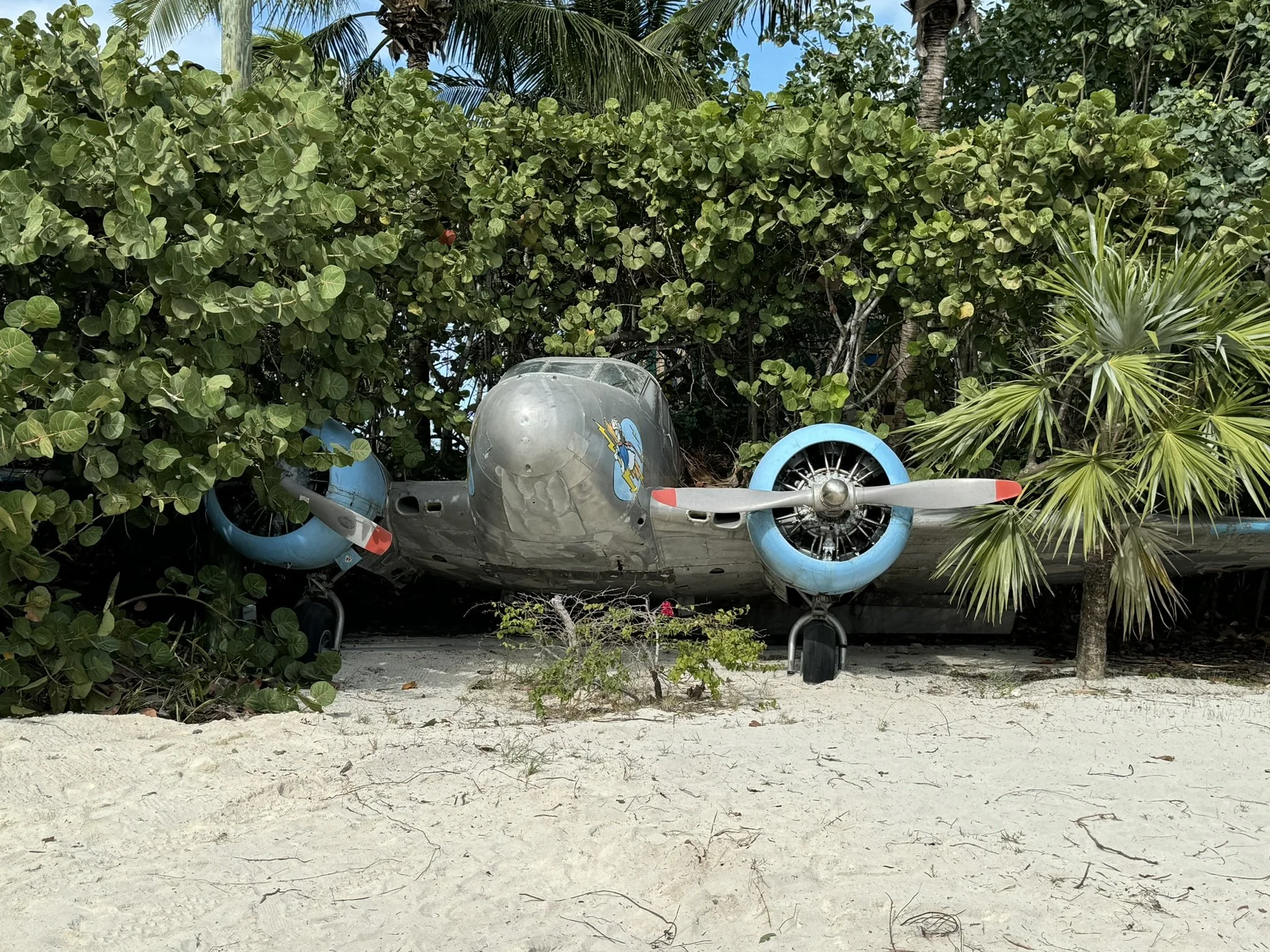 Een oude geverfde vliegtuigmotor ligt in de natuur, omringd door groene struiken en bomen, op een zandige ondergrond.