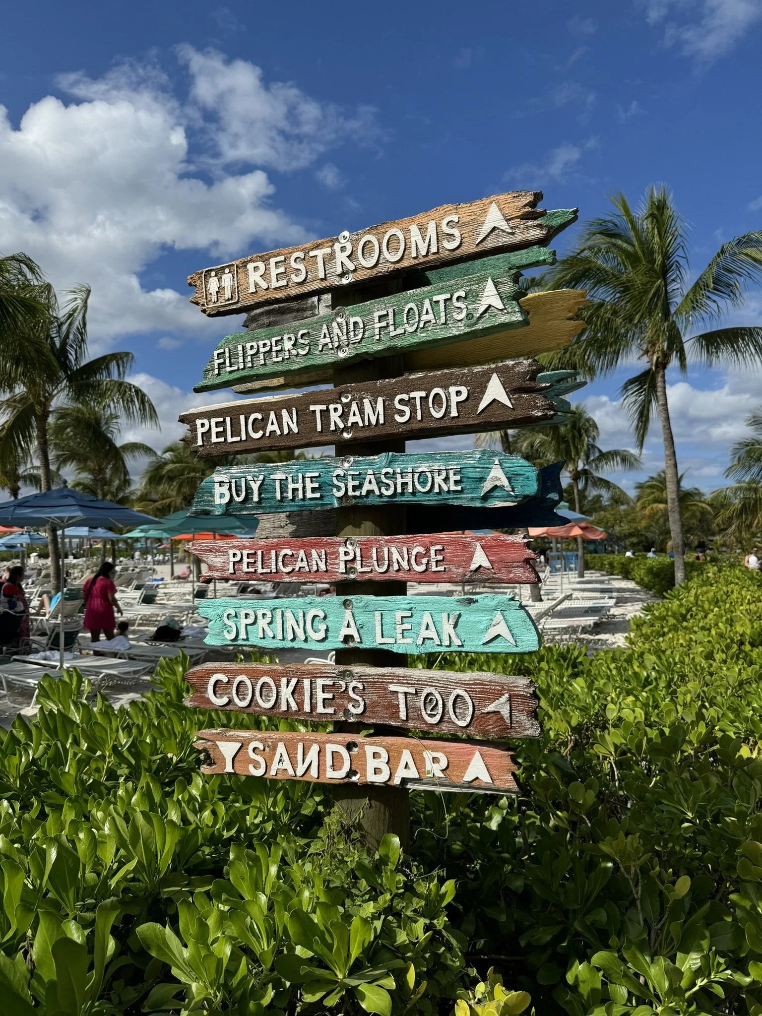 Verschillende kleurrijke houten borden met aanwijzingen voor faciliteiten op een strand, onder een heldere blauwe hemel met palmbomen op de achtergrond.