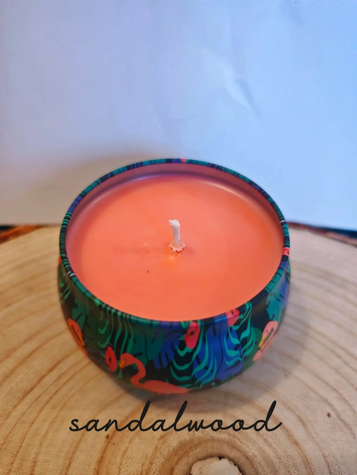 WhatsApp Image 2026-01-31 at 3.09.00 PM (5).jpeg