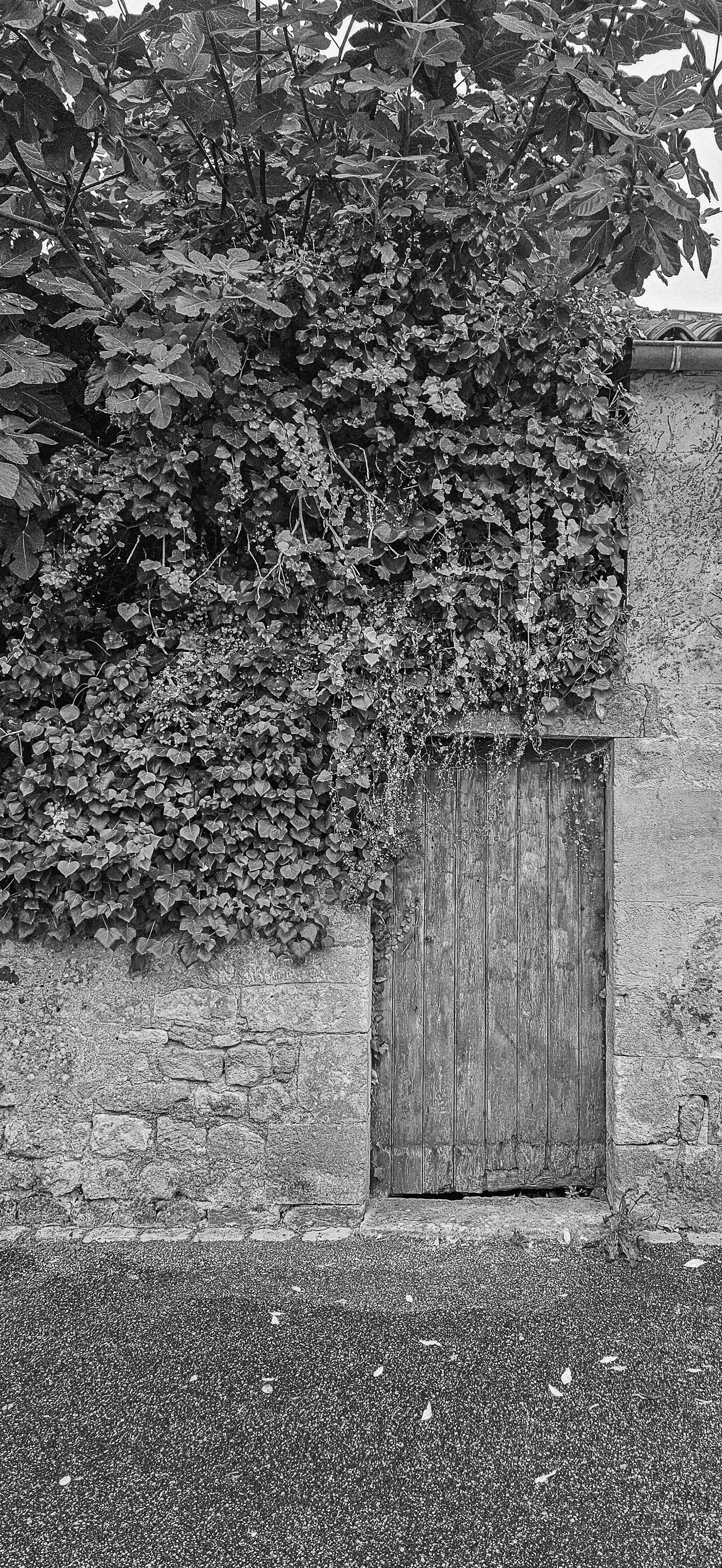 Intérieur d'une pièce avec un mur en pierres apparentes, une cheminée ancienne, une fenêtre en bois et un mur en plâtre.