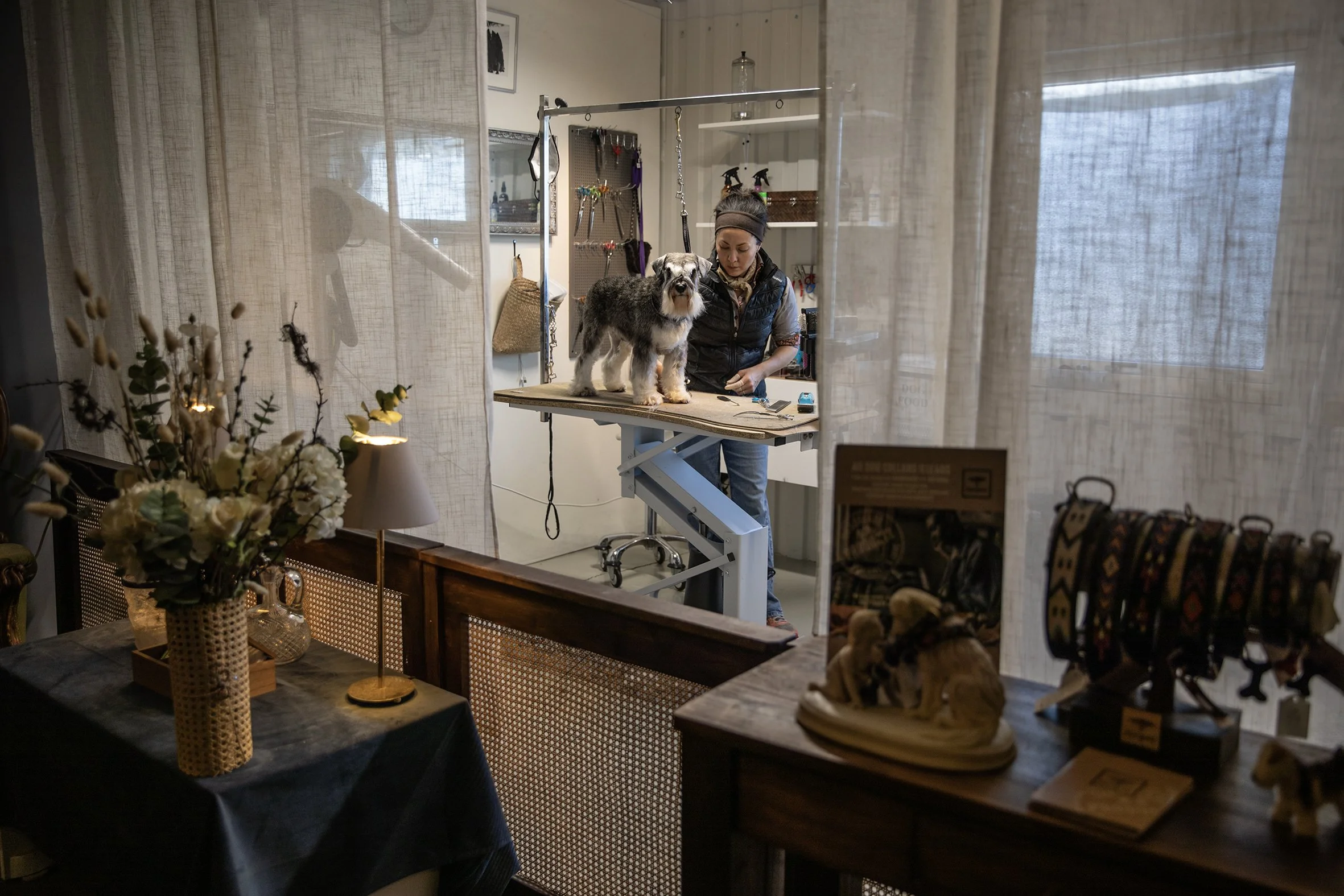Groomer trimming a dog on a grooming table in a pet grooming salon, with grooming tools and supplies in the background.
