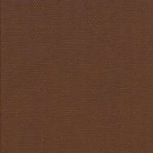 Brown WeatherShield