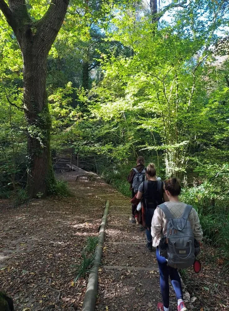 Group of mums hiking with their babies on a wooded trail in a lush, green forest.