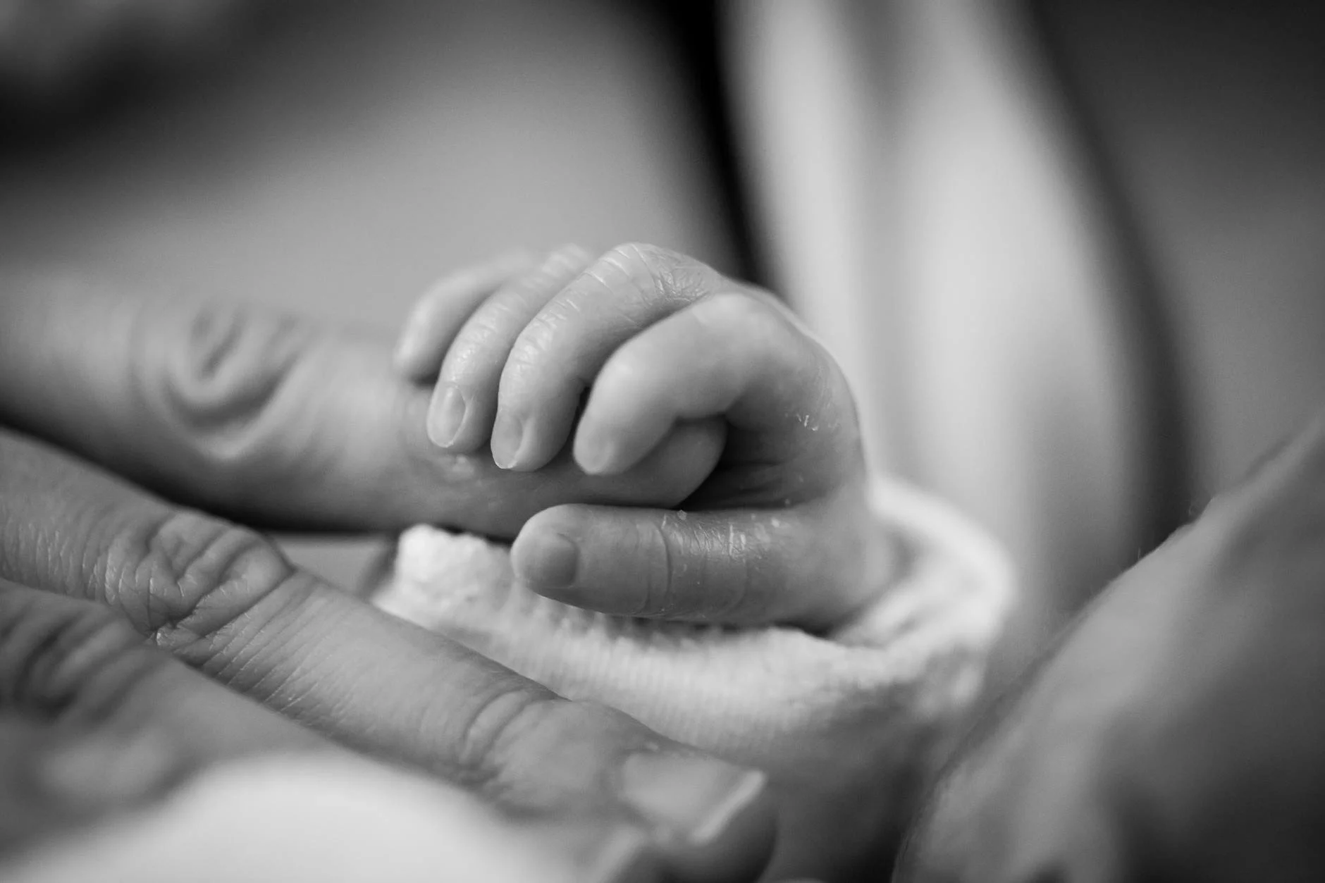 Close-up of an adult's and baby's hands holding each other, in black and white.
