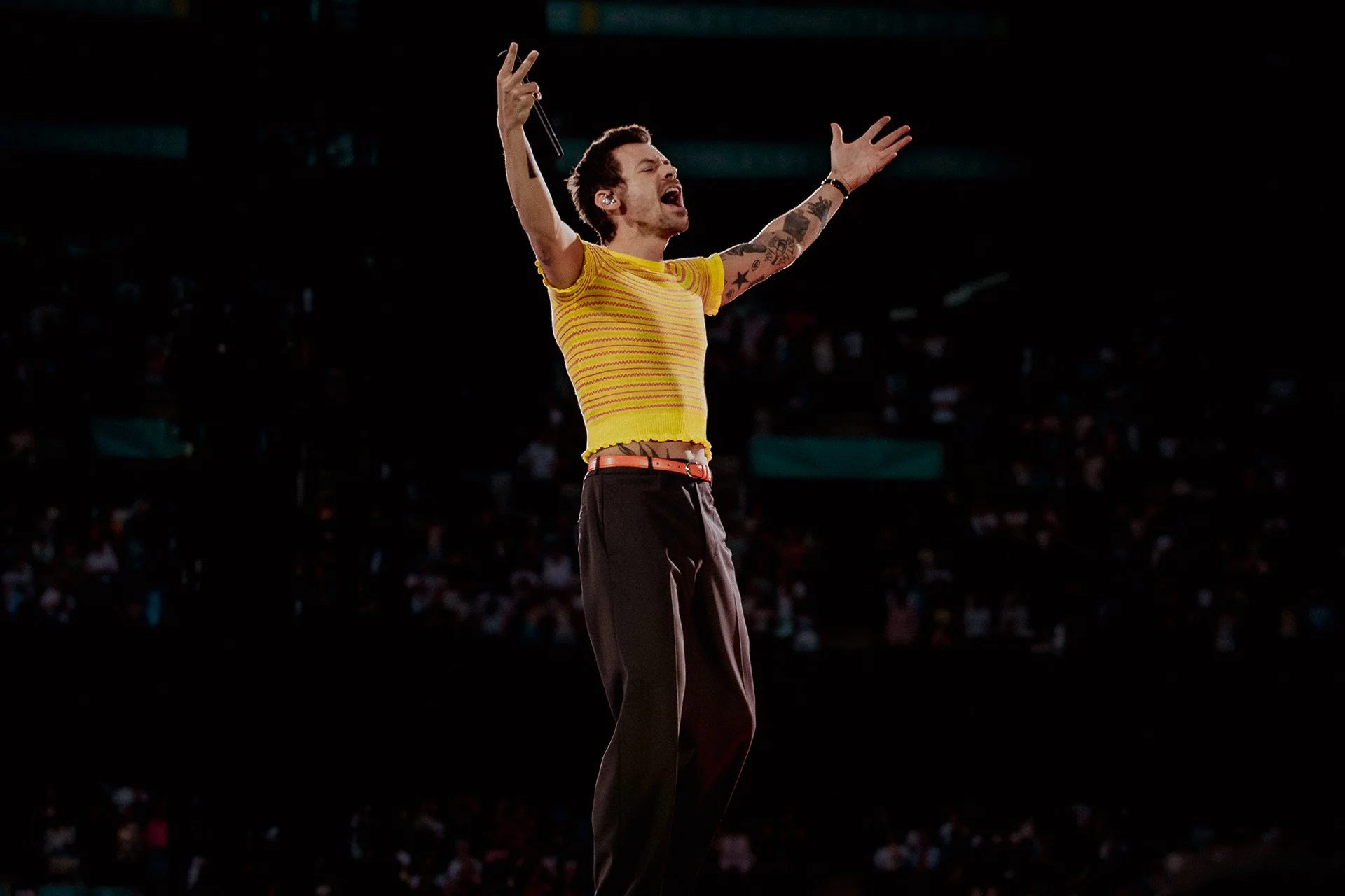 Harry Styles at Wembley Stadium. Shot from the crowd on a Sony RX100.