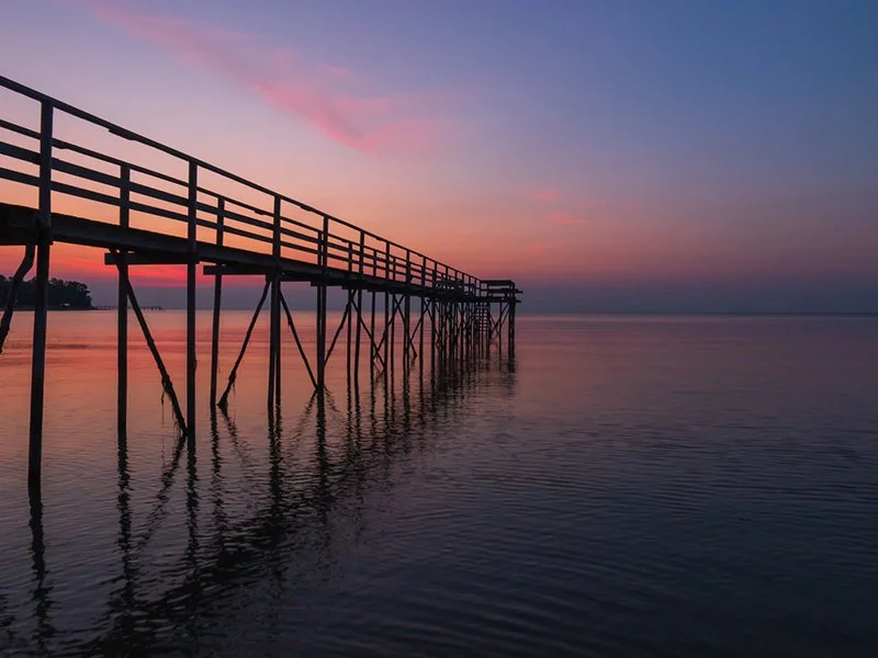 Pier Reviews