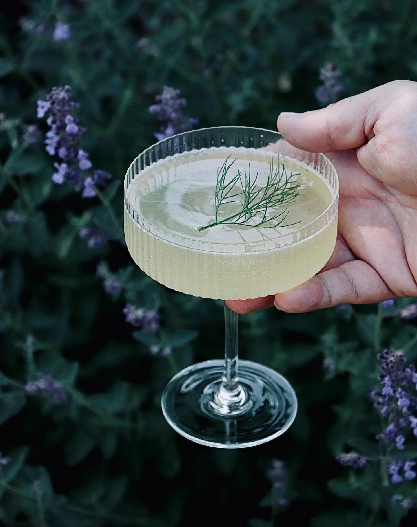 Why not take a break from the summer heat with the Manitoba-inspired Honey Dill Cocktail from @FarmersSonCo?

Ingredients:
2 oz gin, preferably cucumber or floral
&frac34; oz fresh lemon juice
&frac34; oz honey syrup
1 small dill sprig
Dash of celery