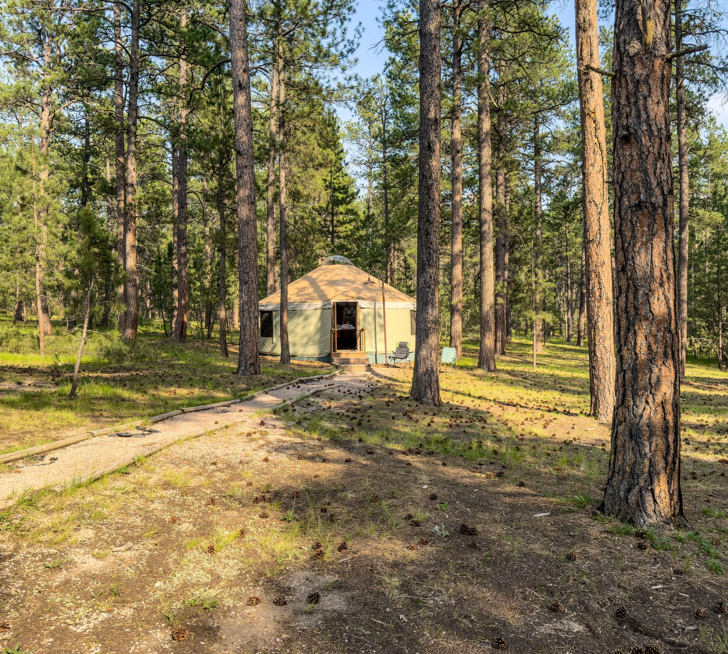 Yurt at La Foret July 3, 2026