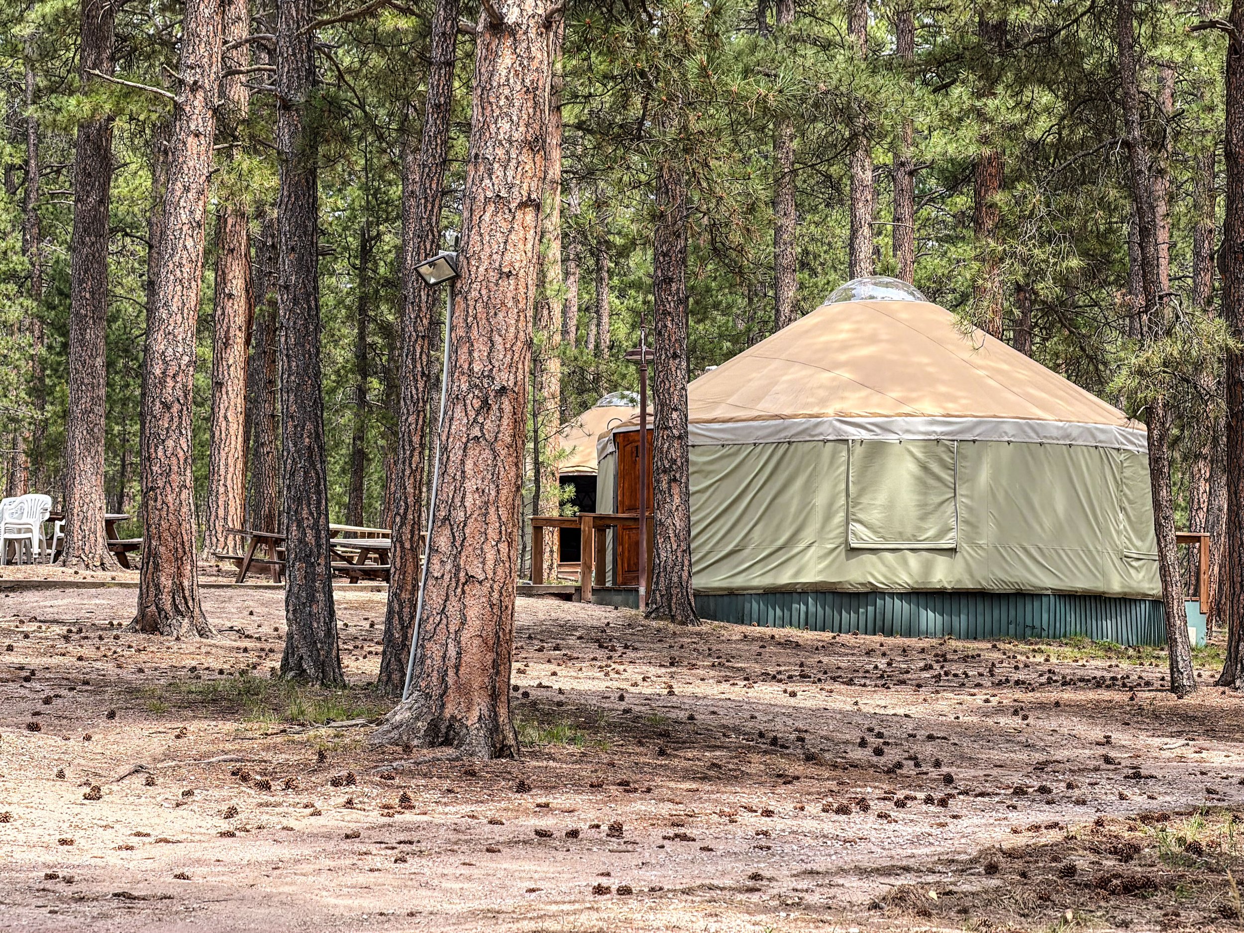 Yurts at La Foret July 3, 2026