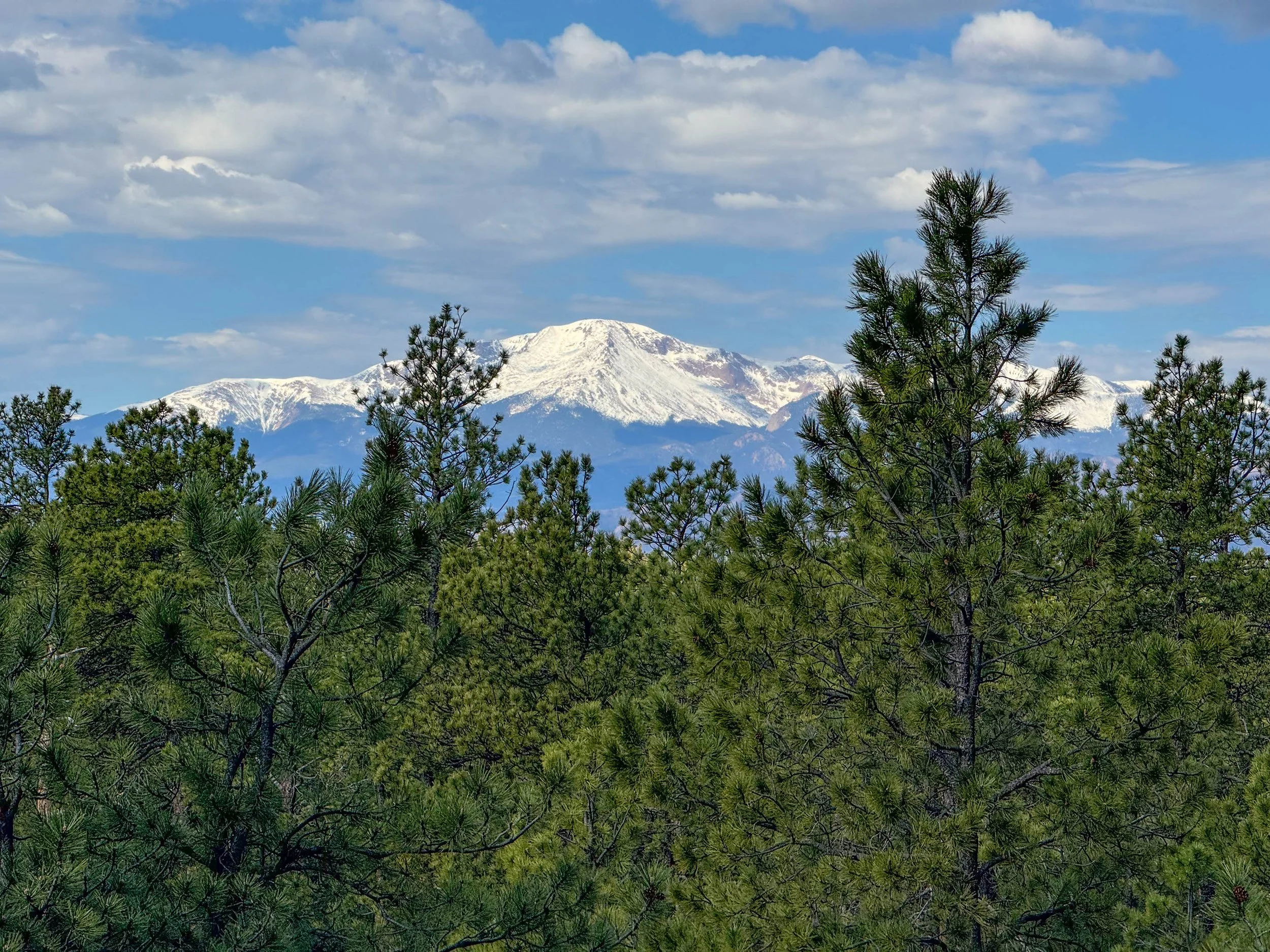 Pikes Peak from La Foret