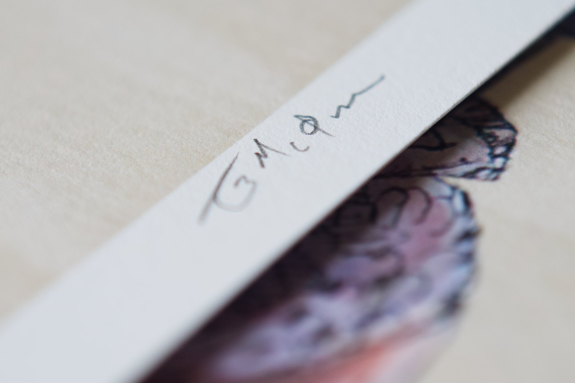 Placid Deformation Close-up Signature 3-2 0_0002.jpg