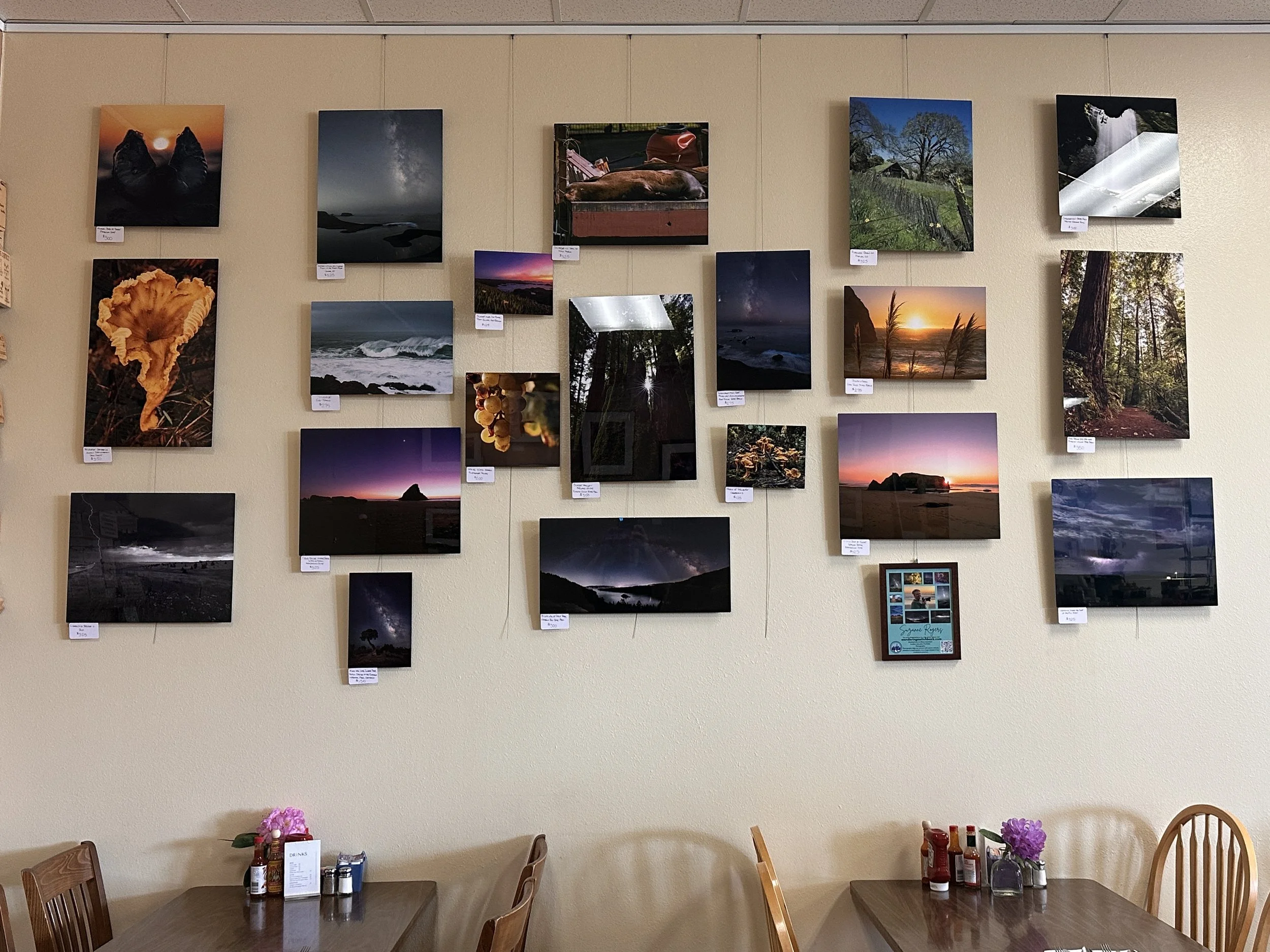 David's Restaurant Exhibition, Summer 2026