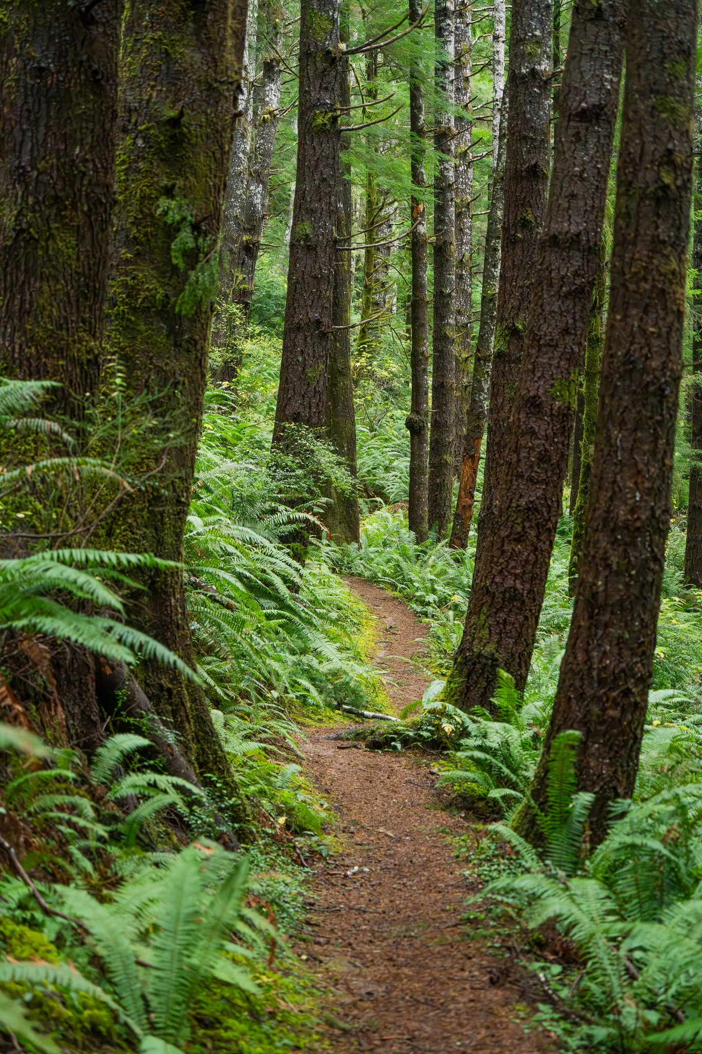 Cape Perpetua National Scenic Area, Oregon