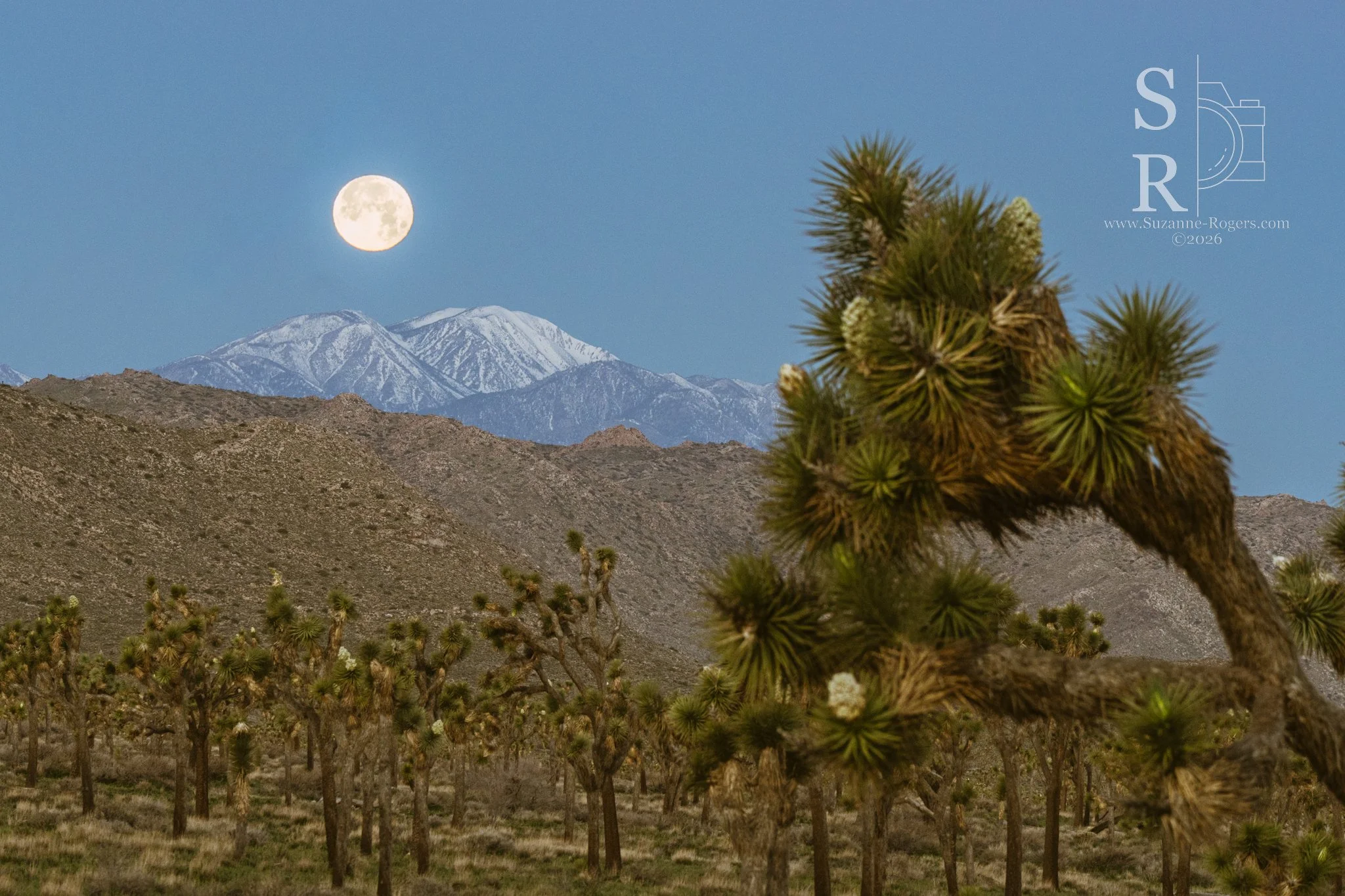 Joshua Tree National Park, California