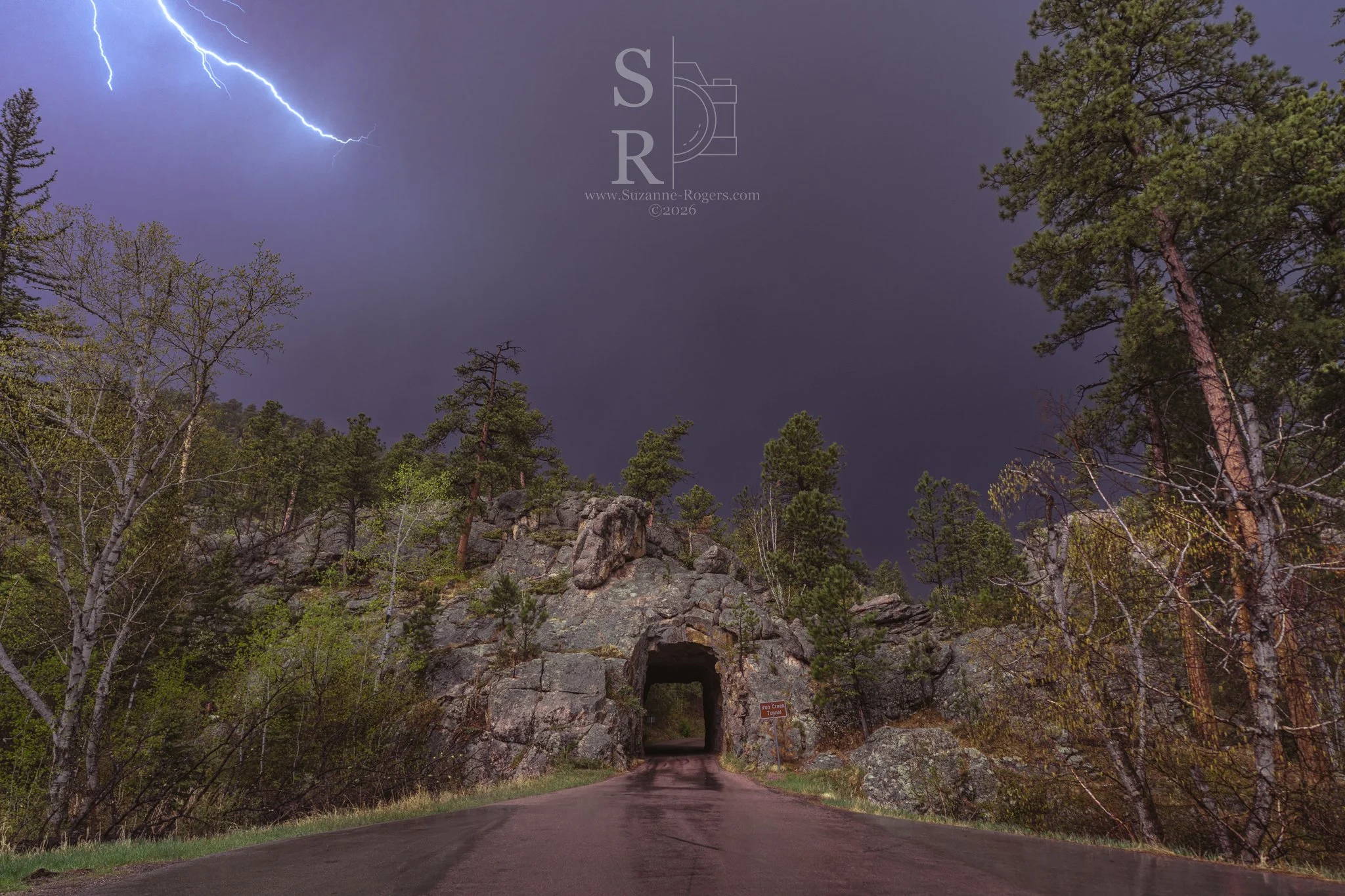 Custer State Park, South Dakota