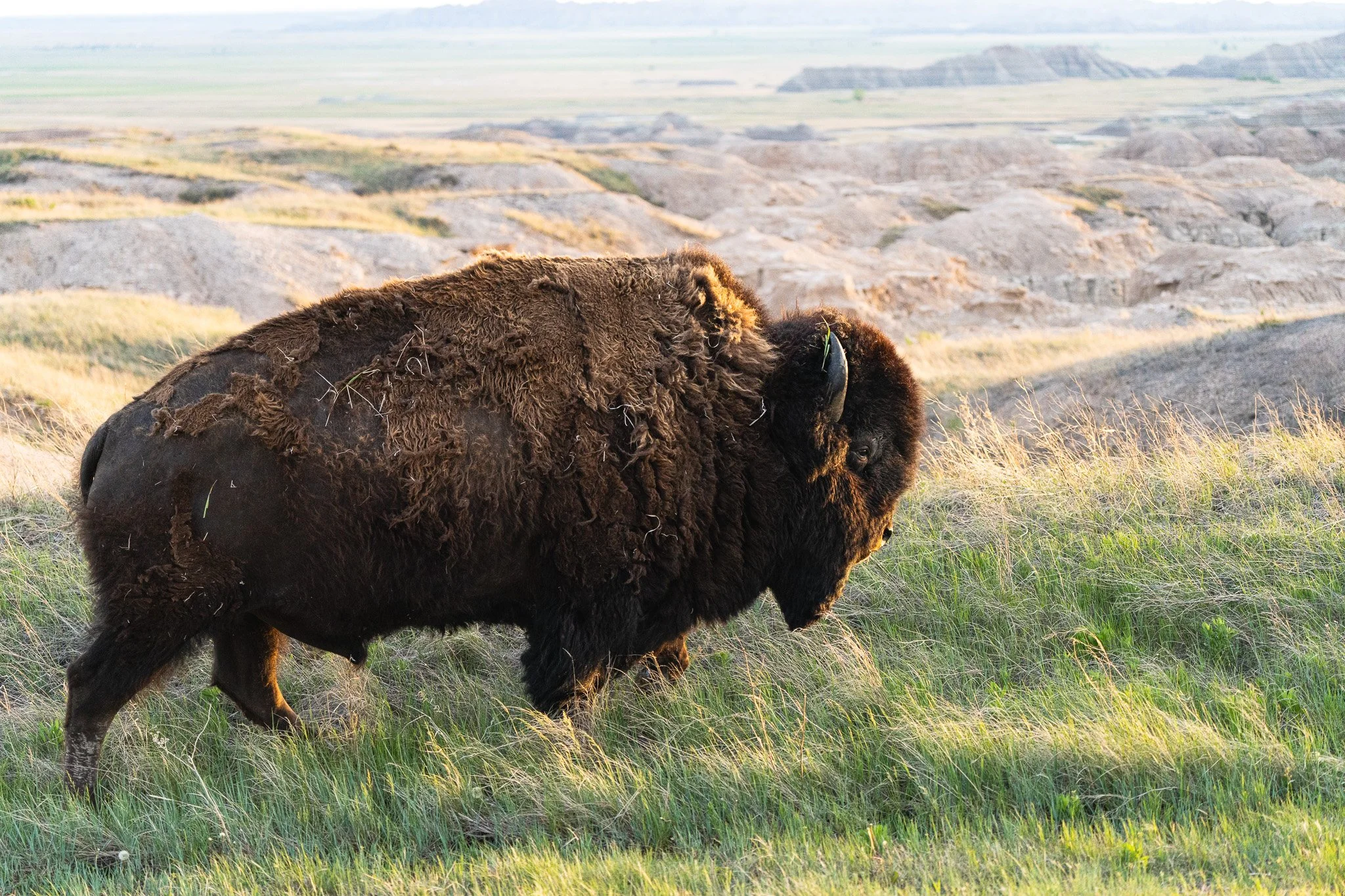 Badlands National Park, South Dakota