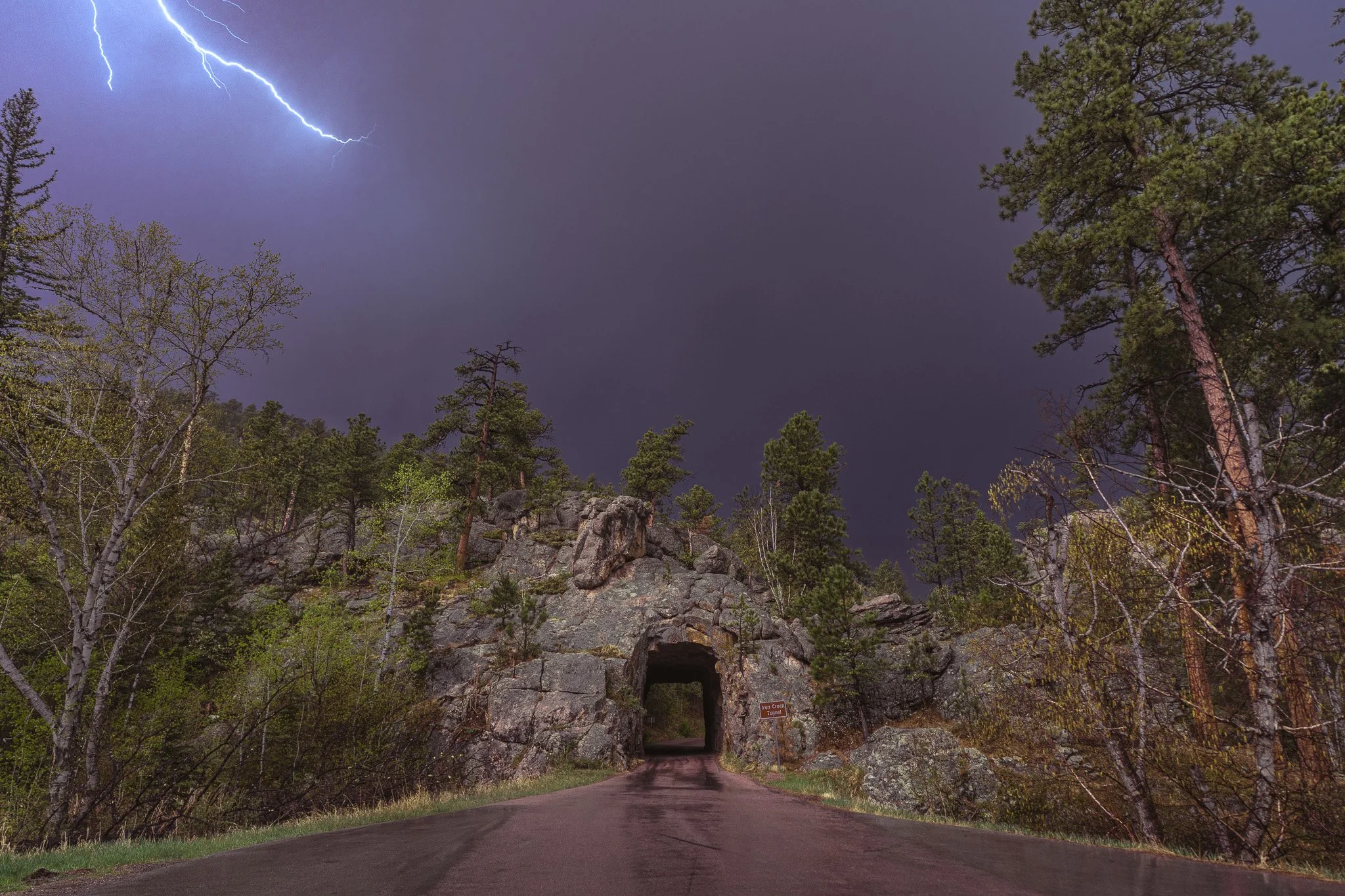 Custer State Park, South Dakota