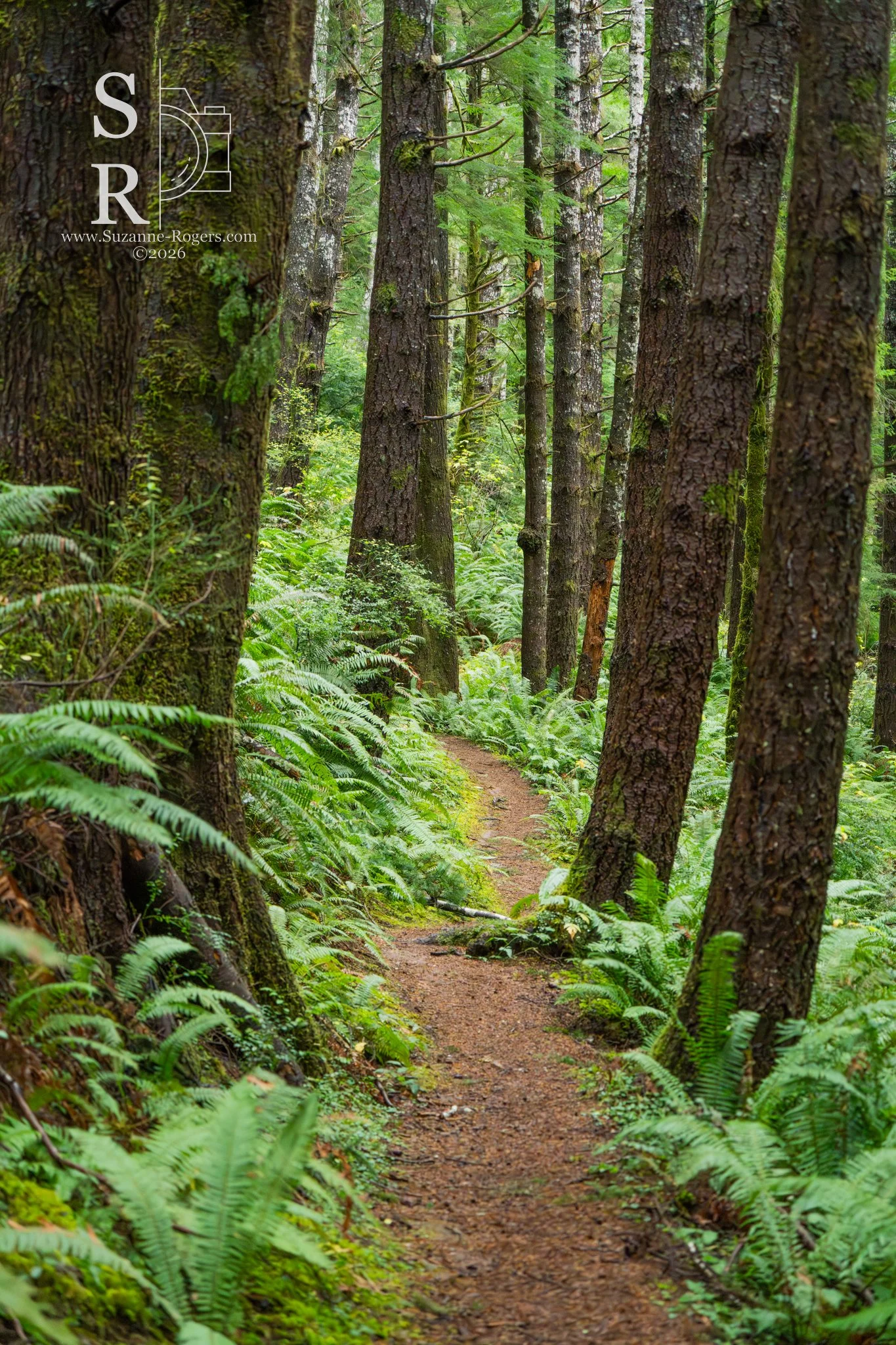 Cape Perpetua National Scenic Area, Oregon