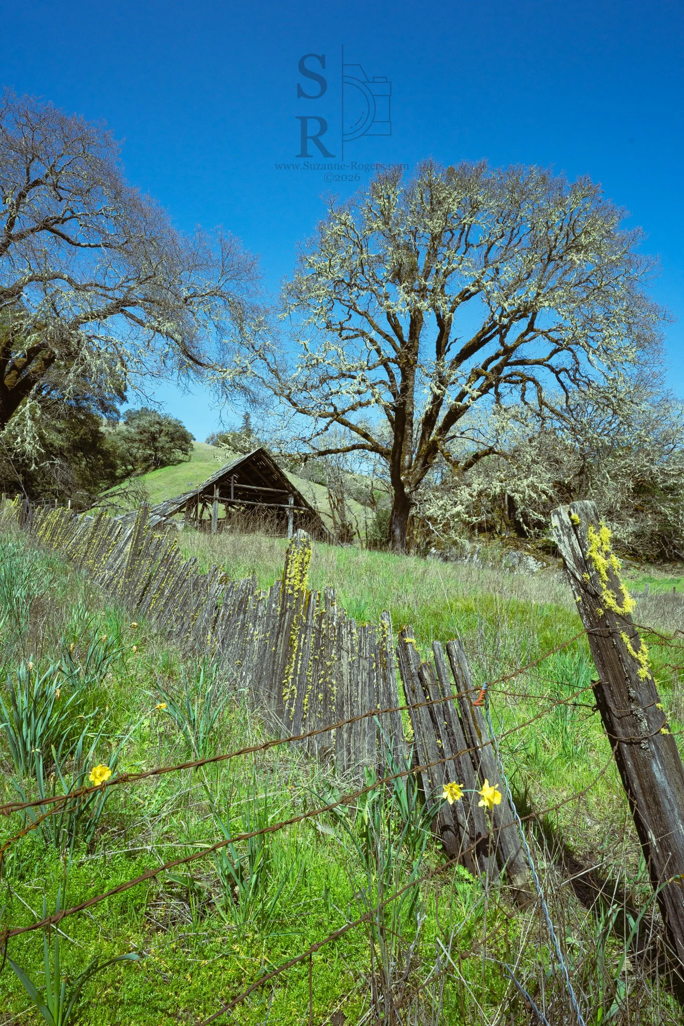 Willits, California