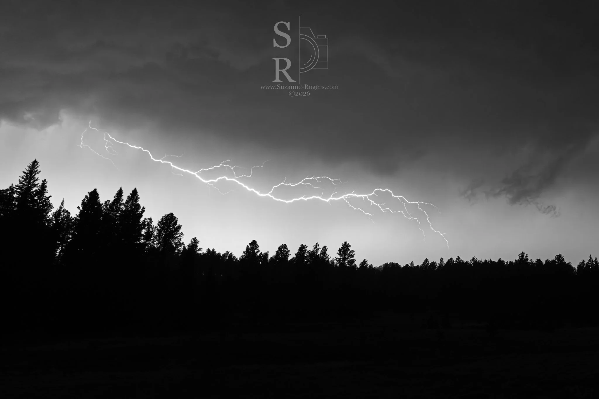Custer State Park, South Dakota