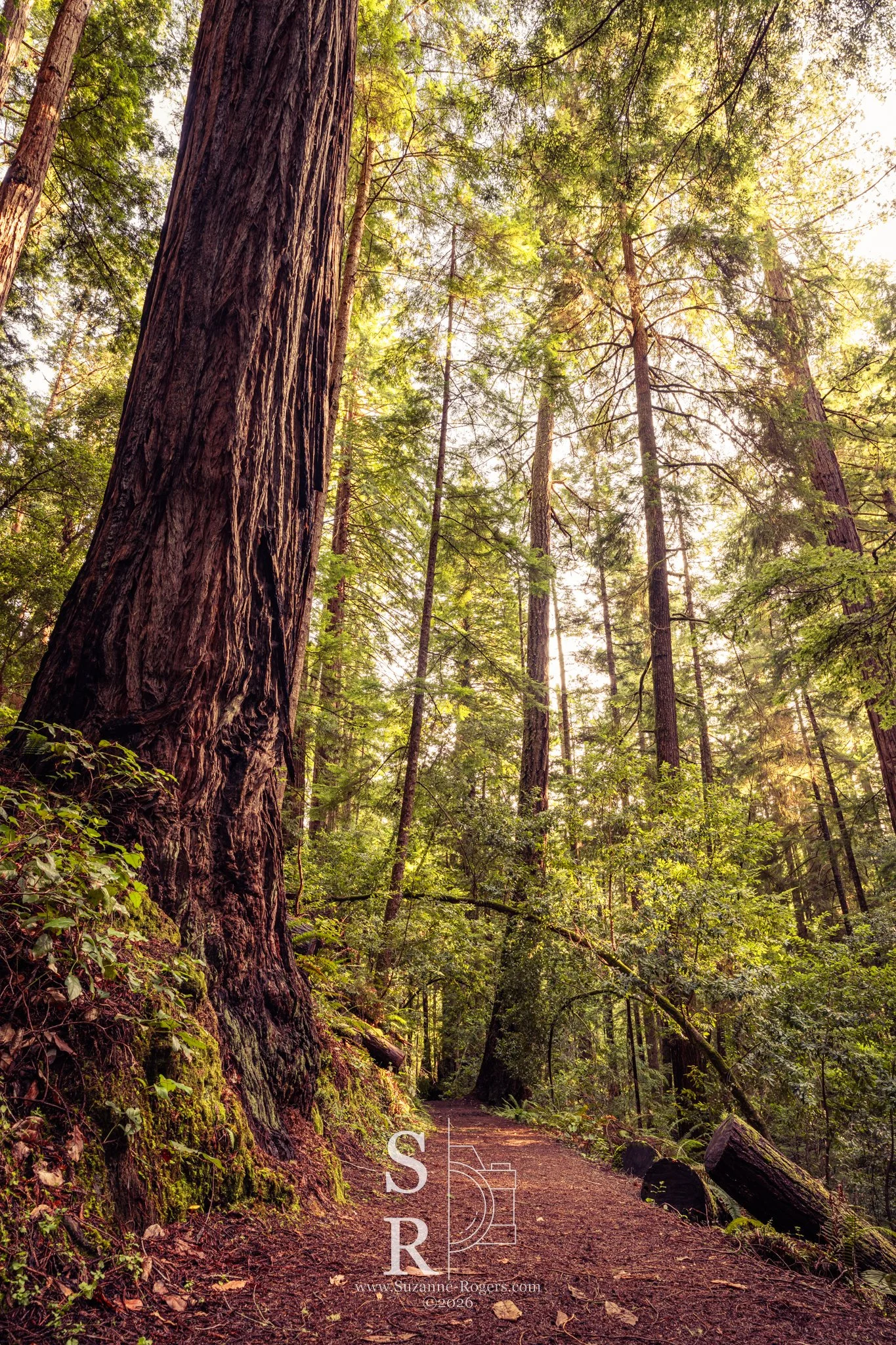 Russian Gulch State Park, California